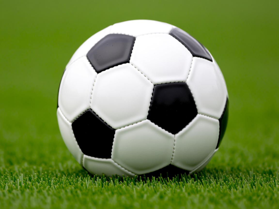 开云官方网-那不勒斯主场小胜阿尔比诺雷,取得三连胜  第3张